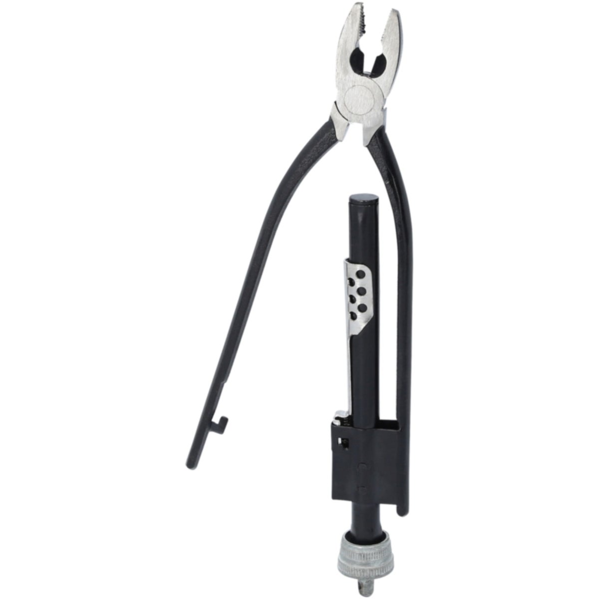 FOT_PRO_VAR_116_1302_2_SALL_AING_V1