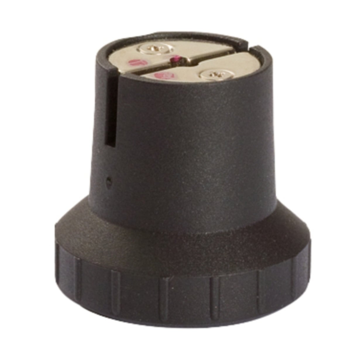 FOT_PRO_ALG_AUTO_500_8533_SALL_AING_V1