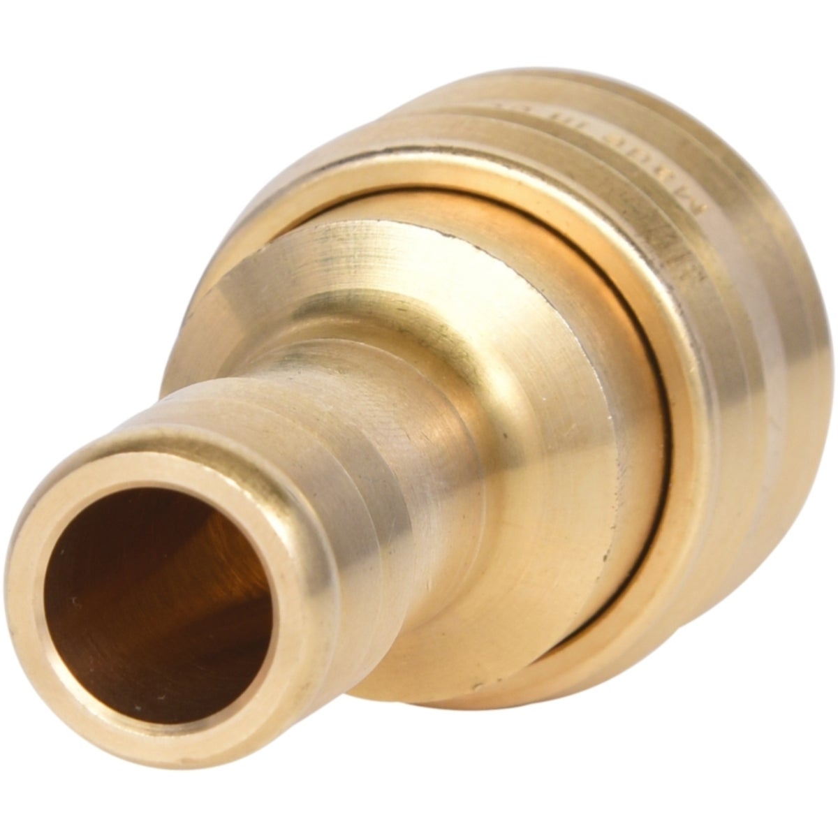 FOT_PRO_VAR_515_3488_2_SALL_AING_V1