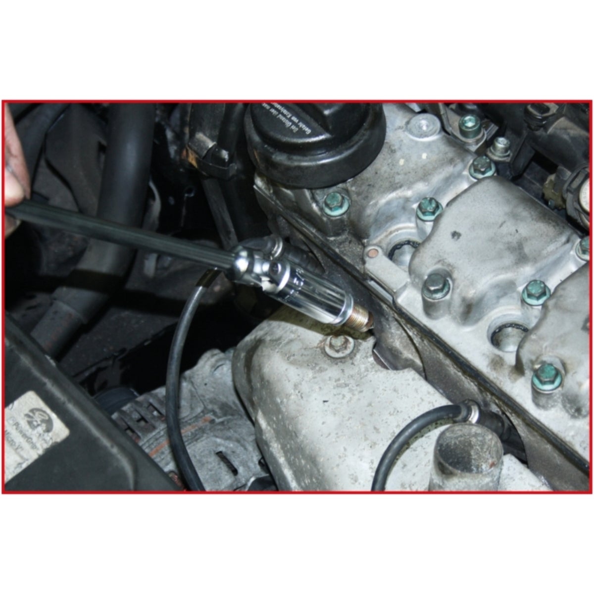 FOT_ANW_ALG_AUTO_517_113X_1-4__AW1_SALL_AING_V1