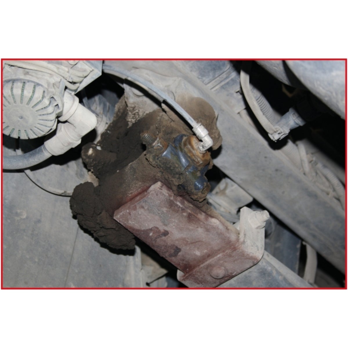 FOT_ANW_ALG_AUTO_450_022X_5-7__AW1_SALL_AING_V1