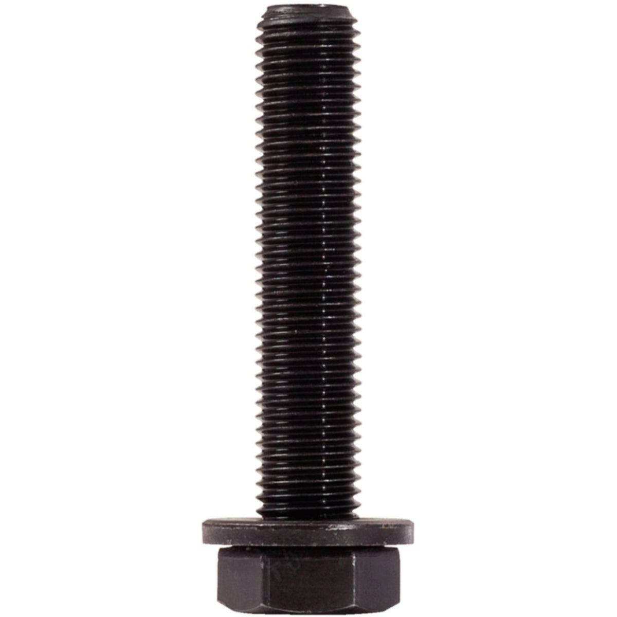 FOT_PRO_ALG_BOHR_129_000X_1-4__SALL_AING_V1