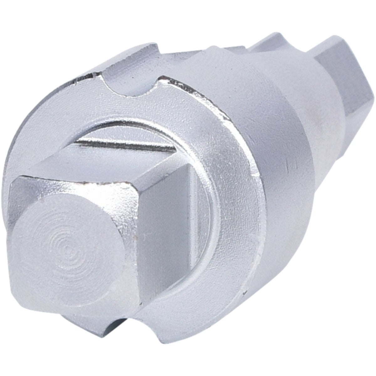 FOT_PRO_VAR_130_2010_2_SALL_AING_V1