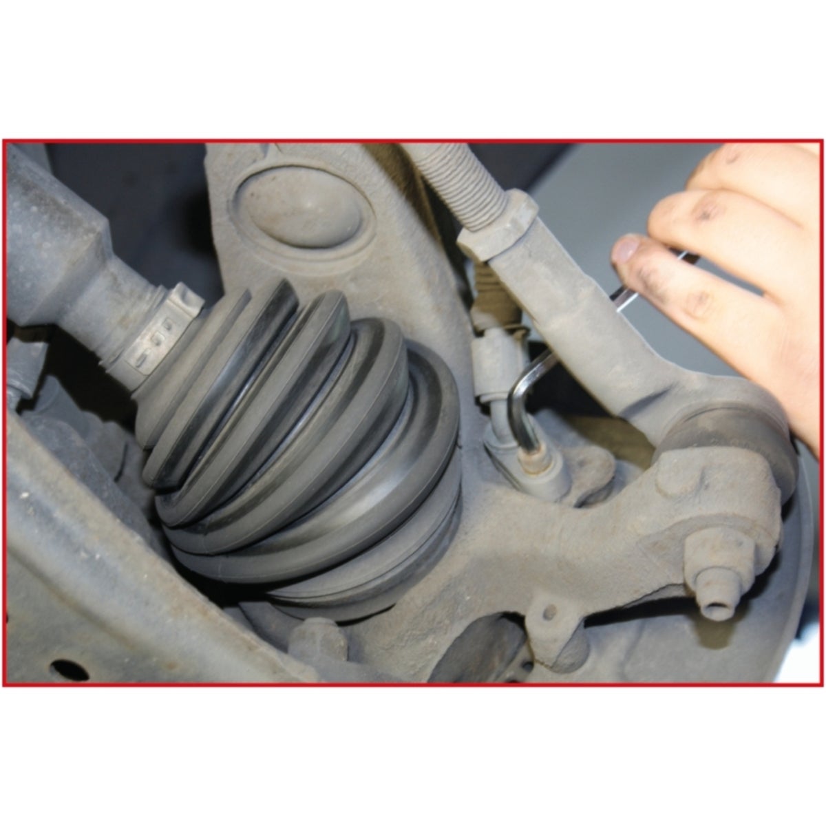 FOT_ANW_ALG_AUTO_150_2480_AW13_SALL_AING_V1