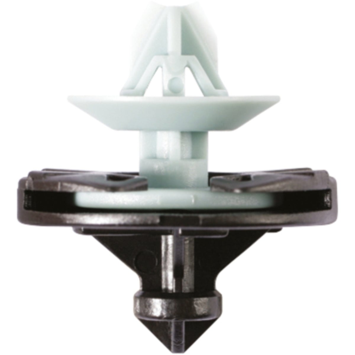FOT_PRO_ALG_AUTO_420_0002_SALL_AING_V1