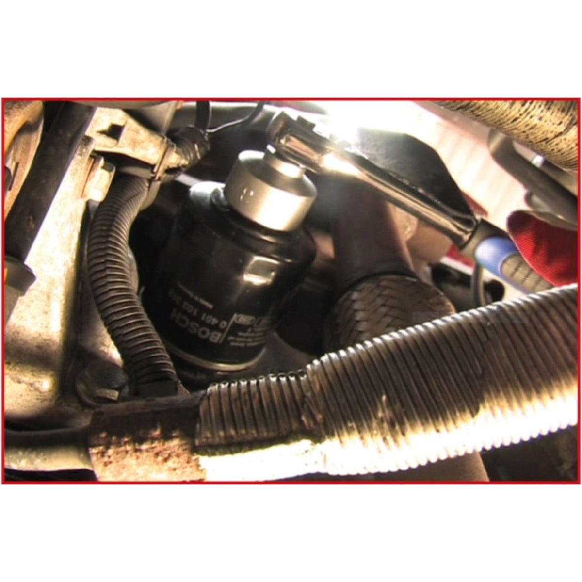 FOT_ANW_ALG_AUTO_150_9210_AW2_SALL_AING_V1