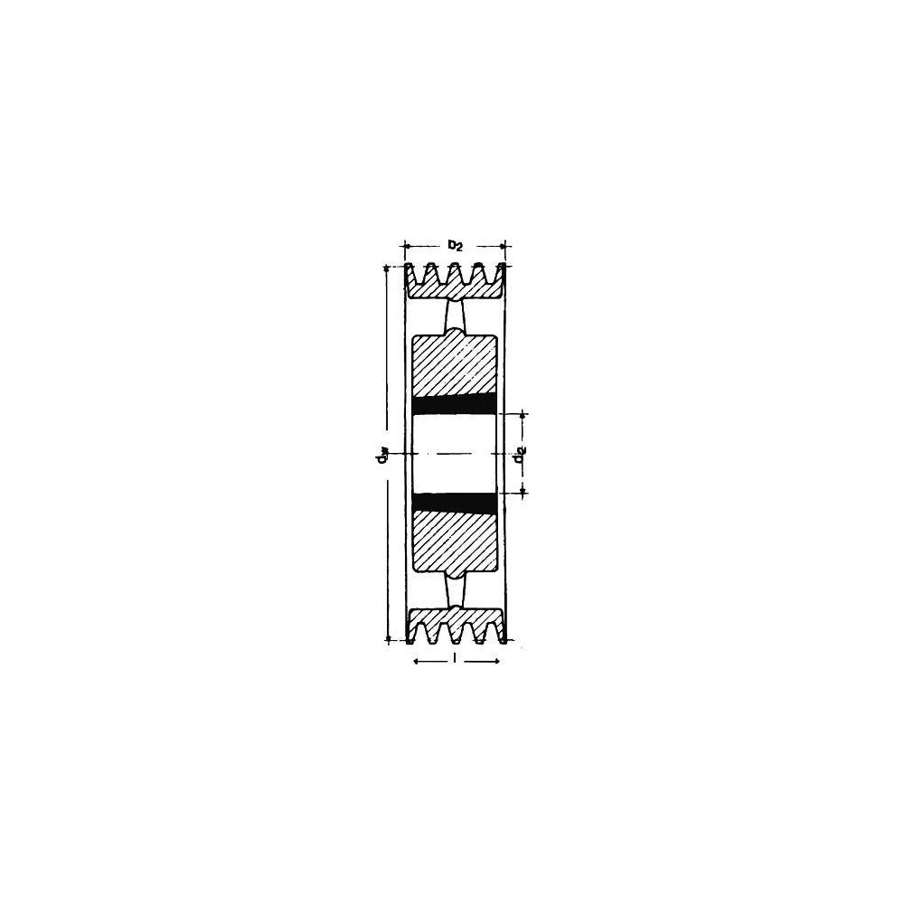 idt202830
