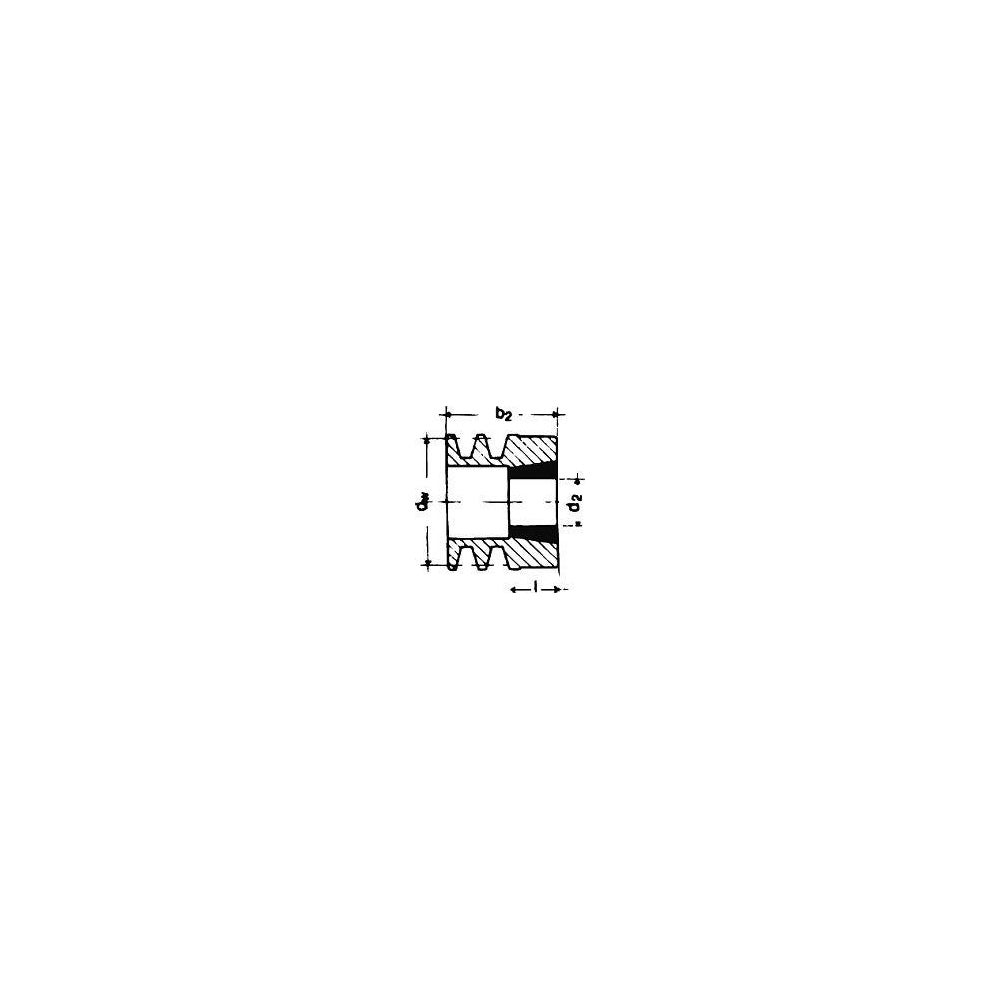 idt202831