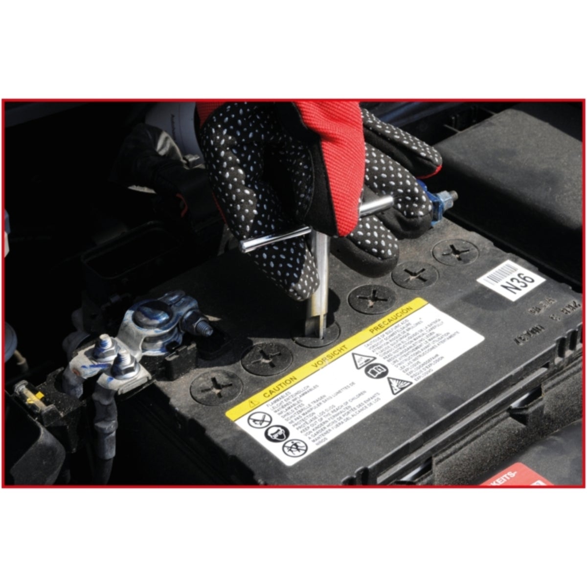 FOT_ANW_ALG_AUTO_550_1686_AW1_SALL_AING_V1