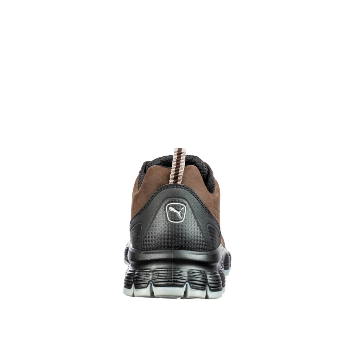 640542_CONDOR_LOW_204_back_WEBqFBXAtaoJg1Pa