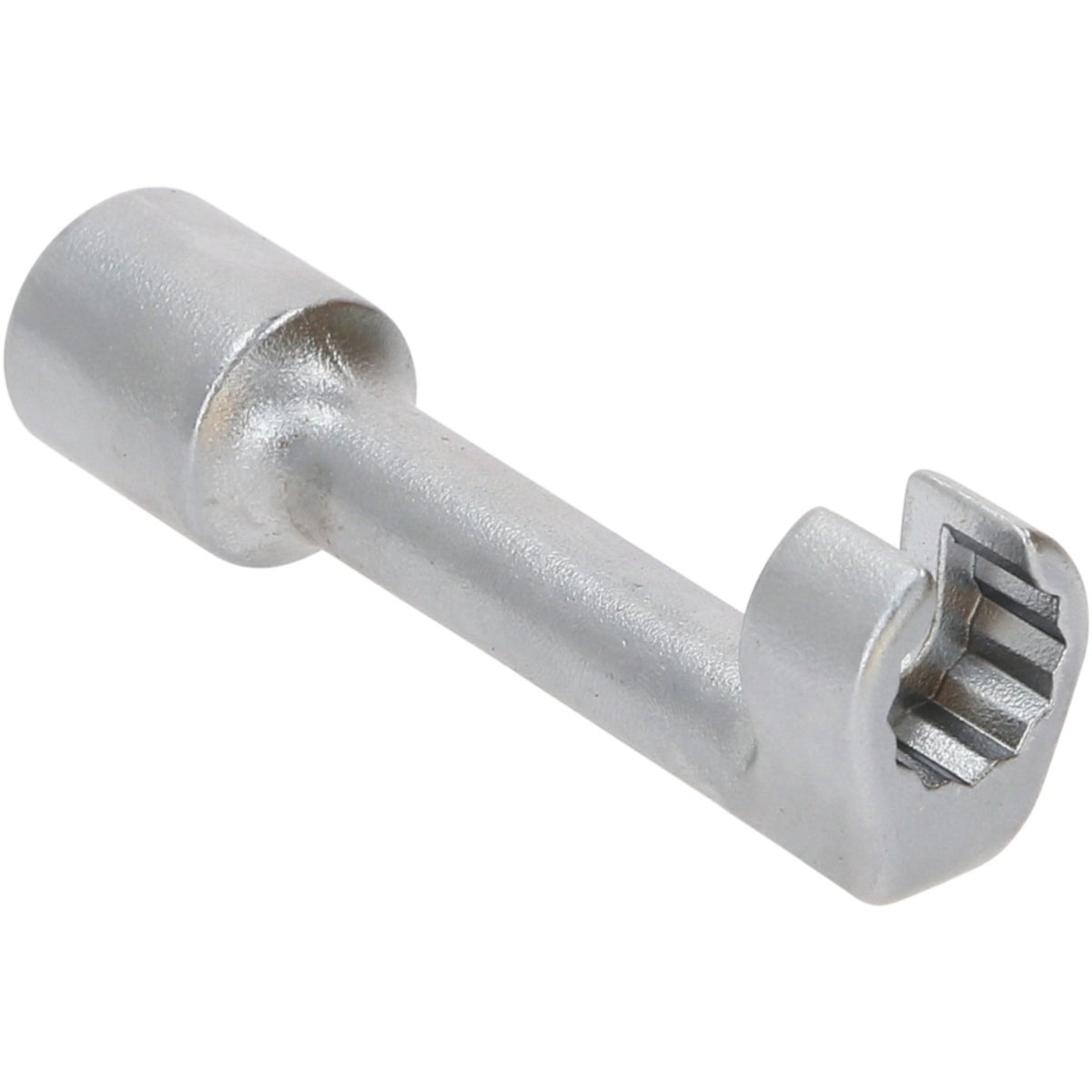 FOT_PRO_VAR_913_1212_2_SALL_AING_V1