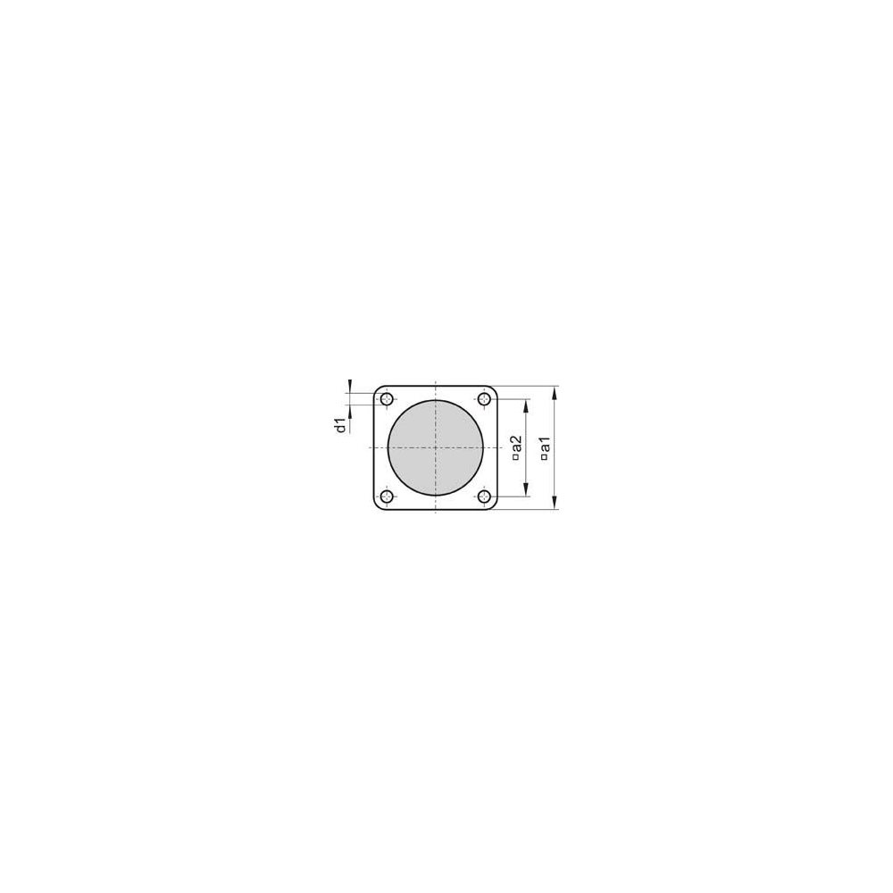 idt109707