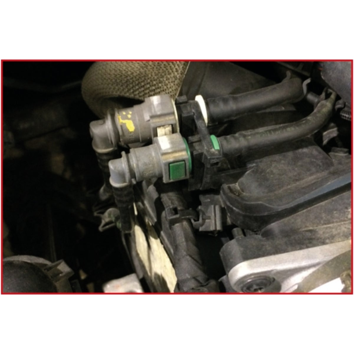 FOT_ANW_ALG_AUTO_115_1060_AW3_SALL_AING_V1