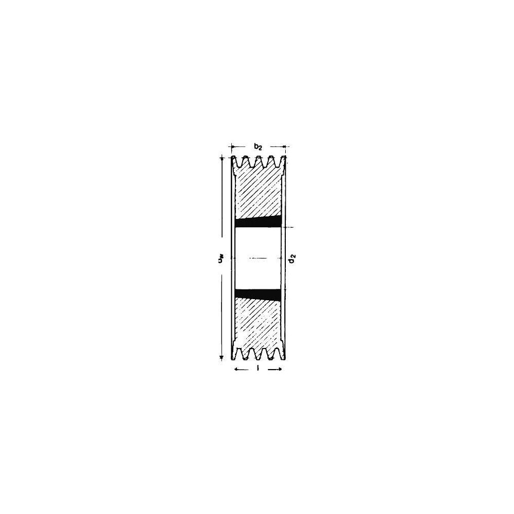 idt202834
