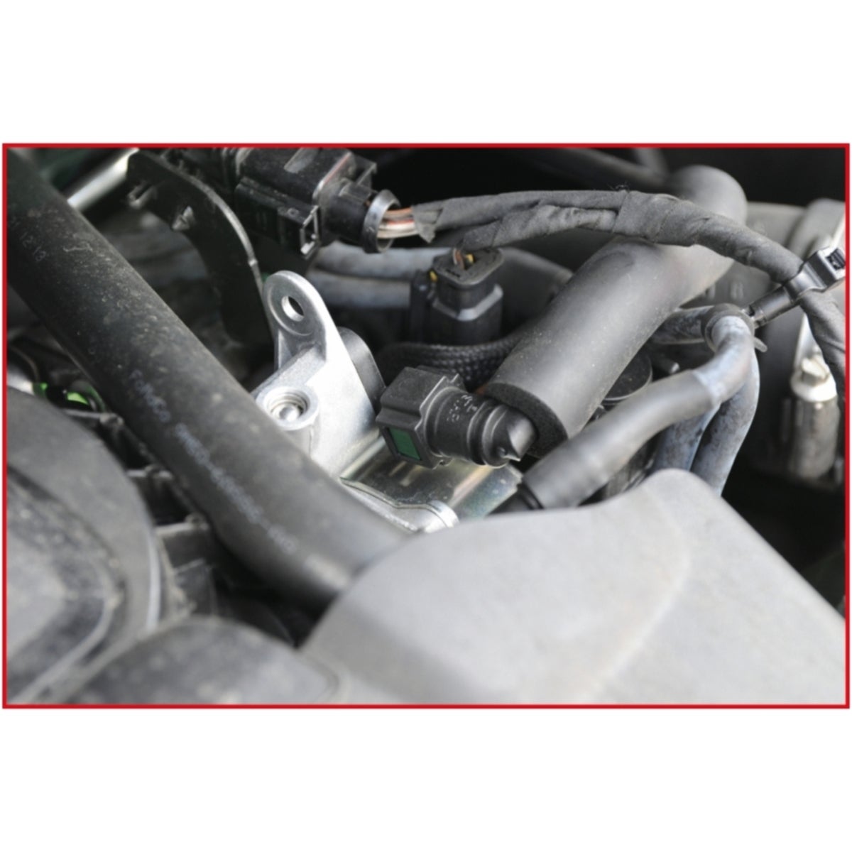 FOT_ANW_ALG_AUTO_115_0900_AW1_SALL_AING_V1