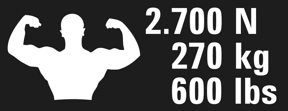 ez_graph_muscleman