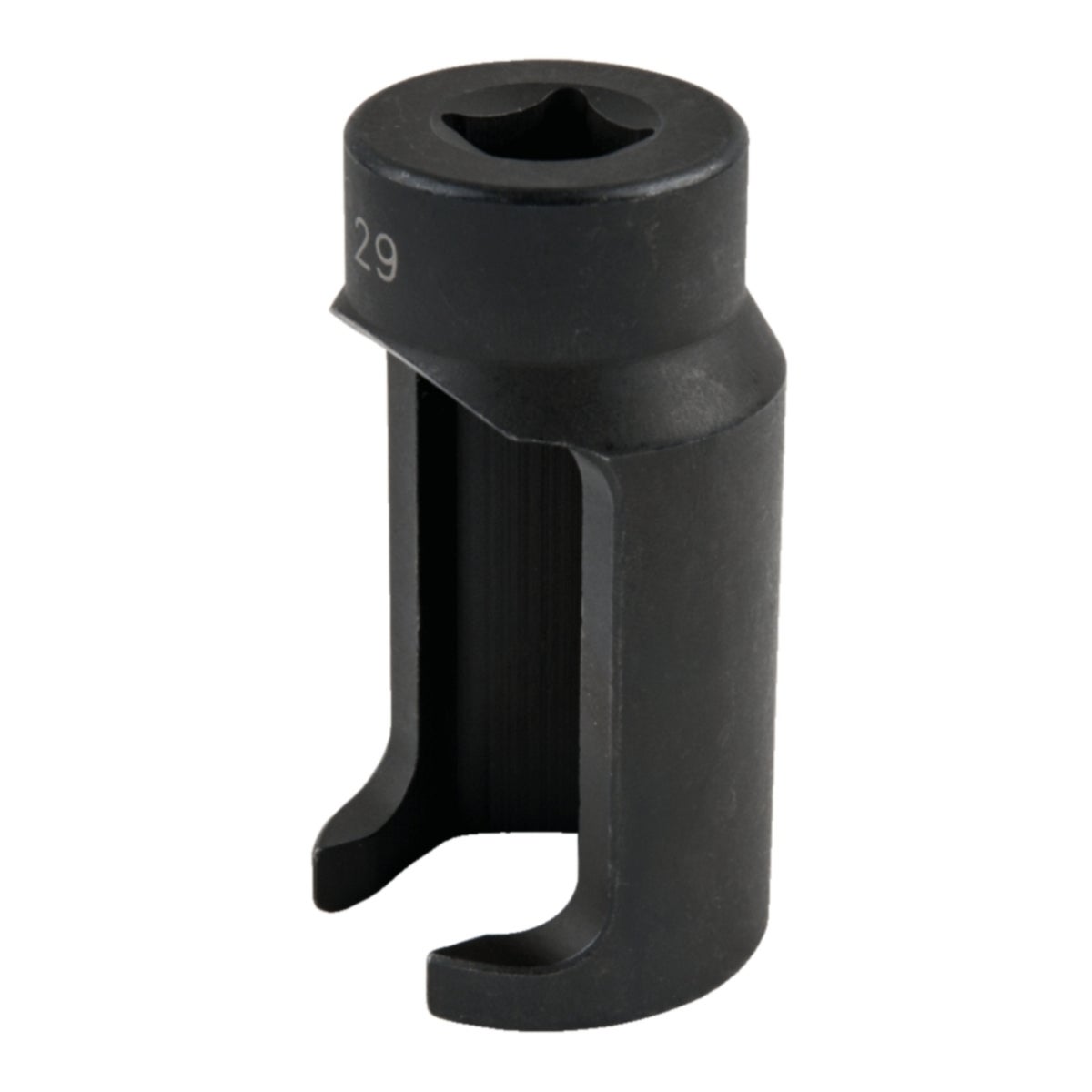 FOT_PRO_ALG_AUTO_152_1058_SALL_AING_V1