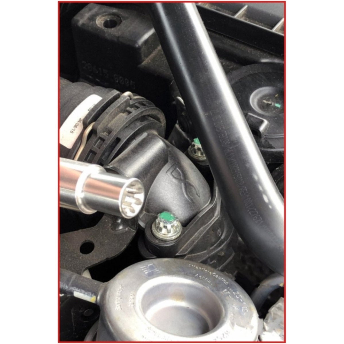FOT_ANW_ALG_AUTO_150_2519_AW1_SALL_AING_V1