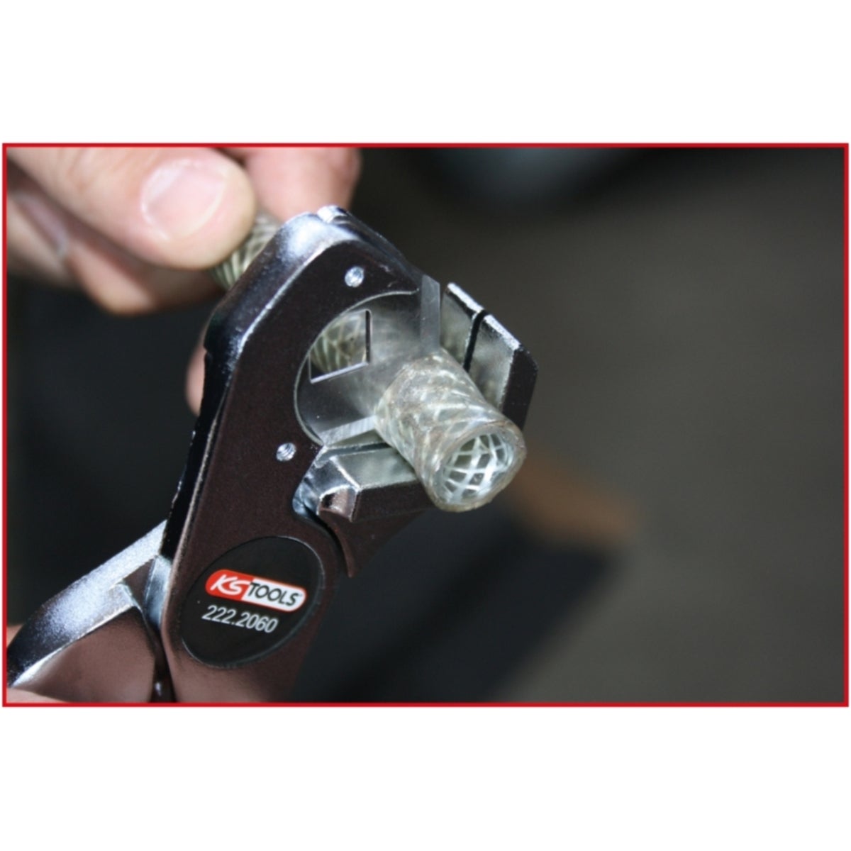 FOT_ANW_ALG_ROHR_222_2060_AW2_SALL_AING_V1