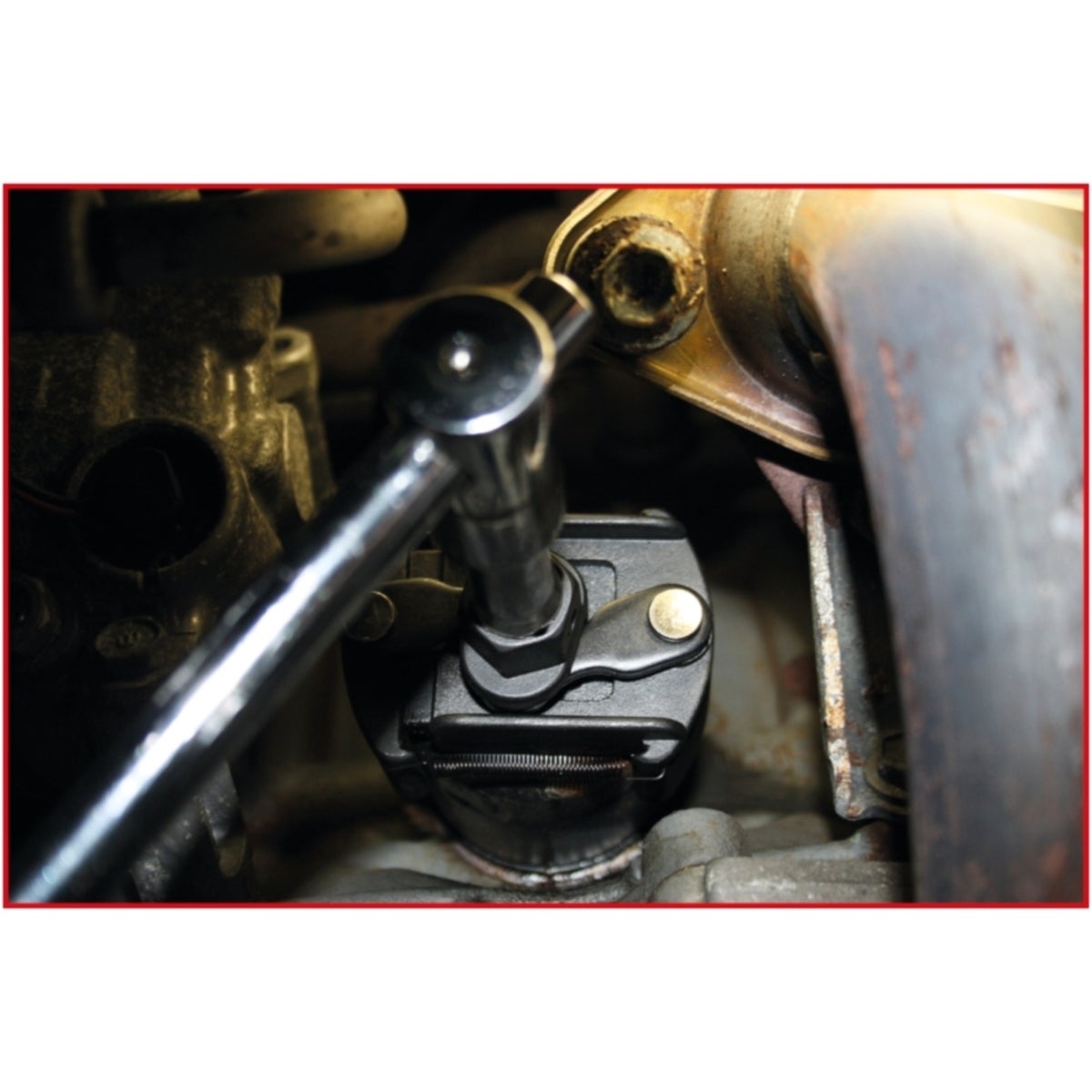 FOT_ANW_ALG_AUTO_700_500X_5-6__AW6_SALL_AING_V1