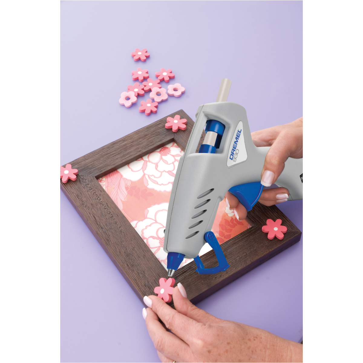 IMG-RD-6525-113