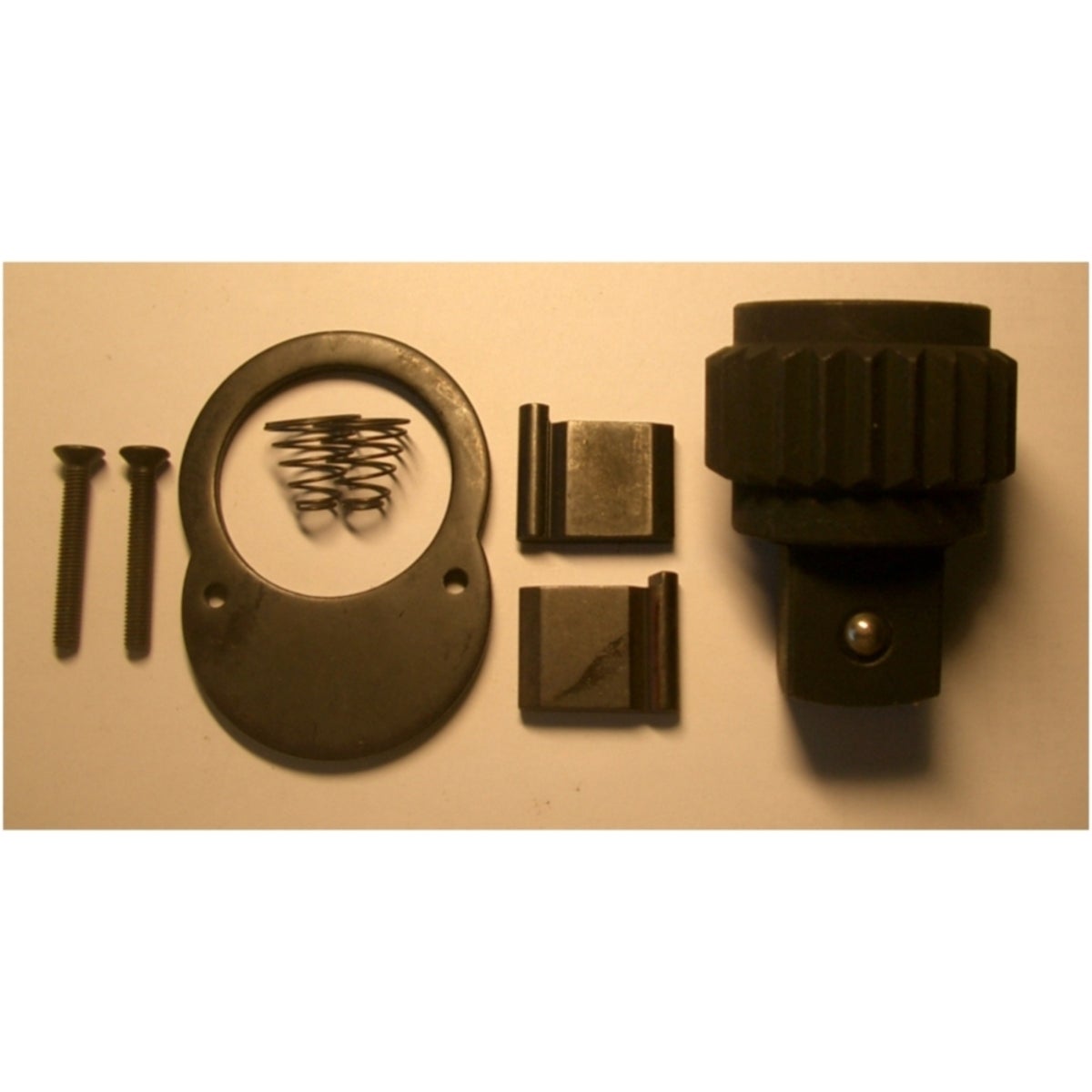 FOT_PRO_ALG_REP_911_1099_SALL_AQU_V1