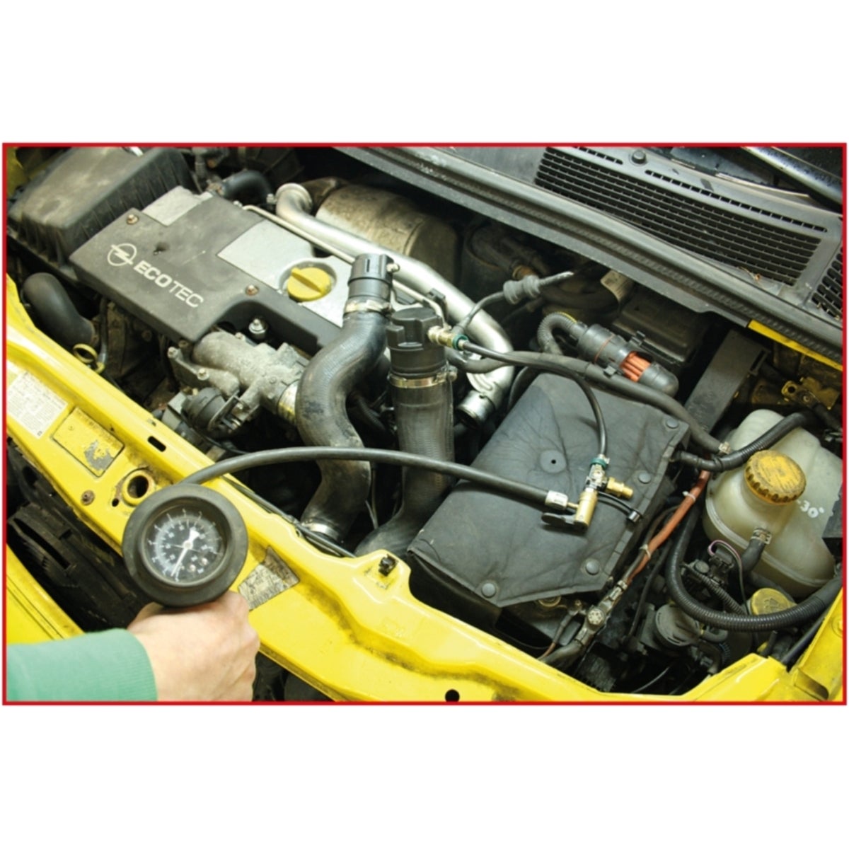 FOT_ANW_ALG_AUTO_150_2520_AW5_SALL_AING_V1