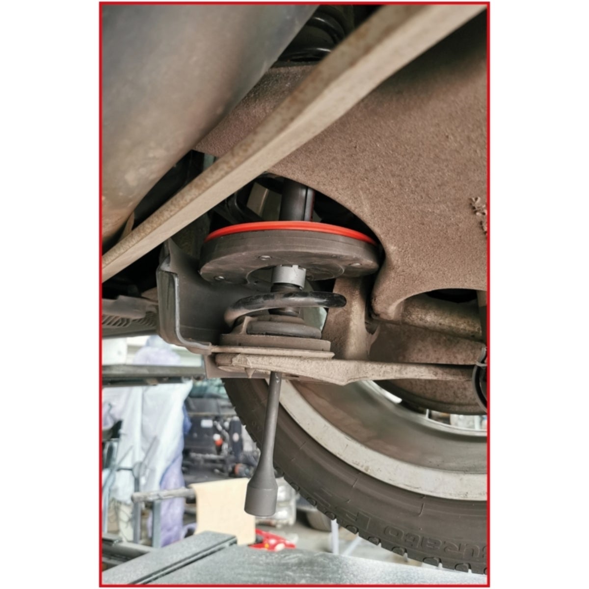 FOT_ANW_ALG_AUTO_500_8765_AW3_SALL_AING_V1