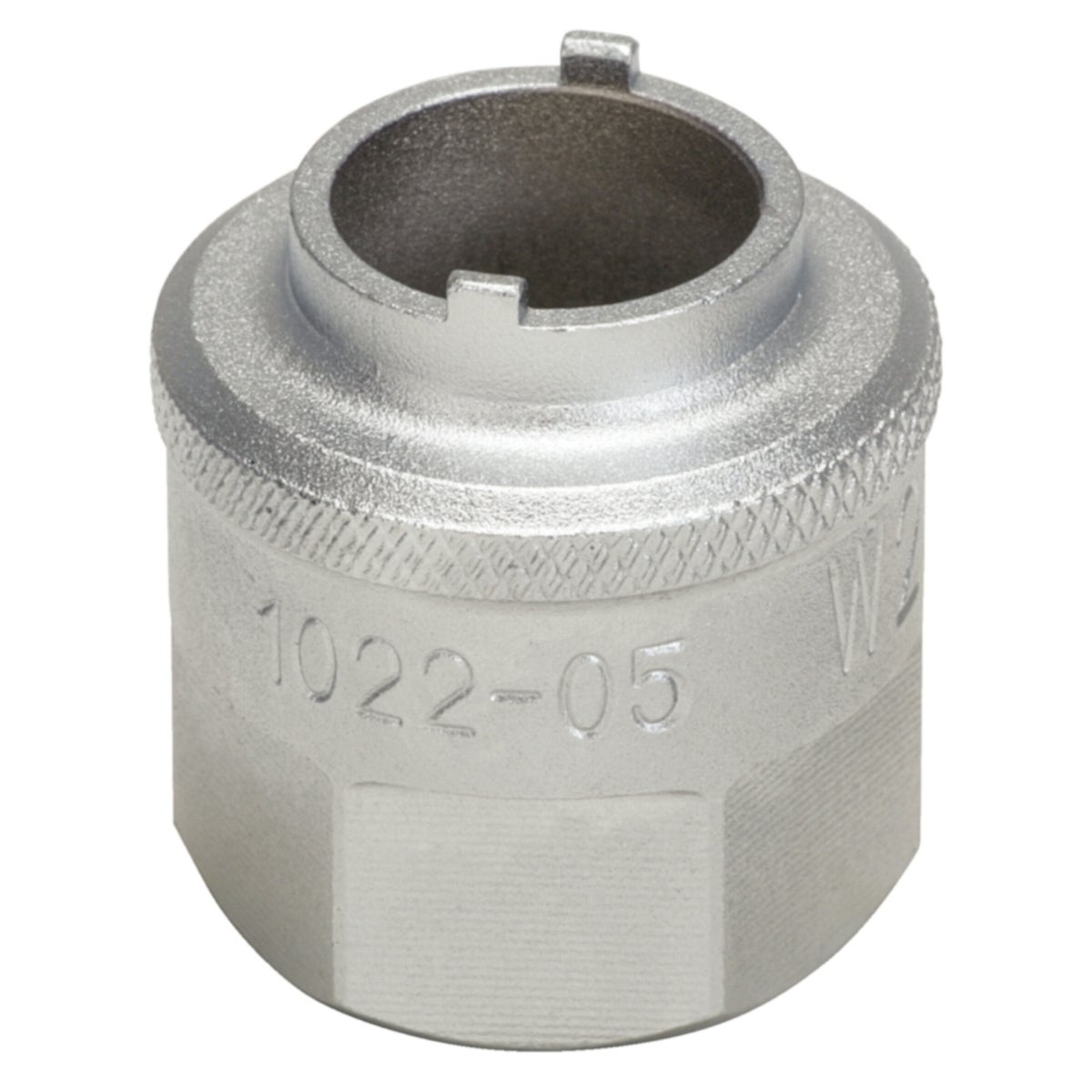 FOT_PRO_ALG_AUTO_150_9405_SALL_AING_V1