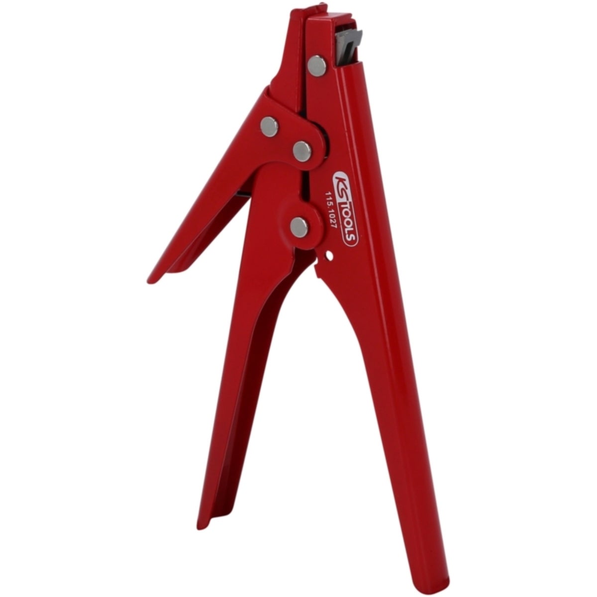 FOT_PRO_ALG_115_1027_SALL_AING_V1