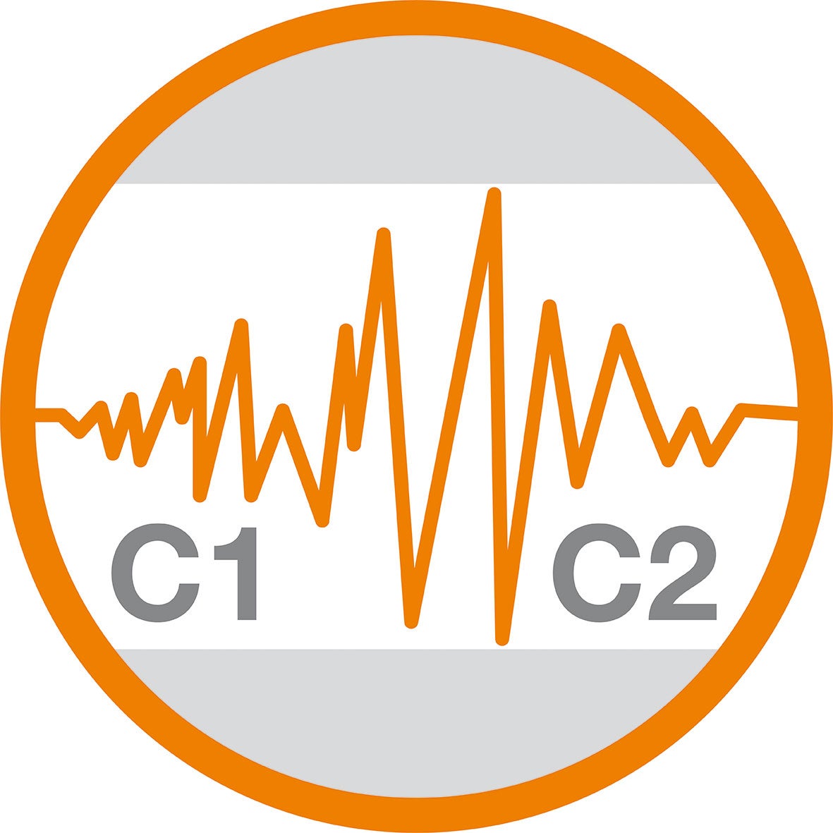 Seismik_C2_Logo