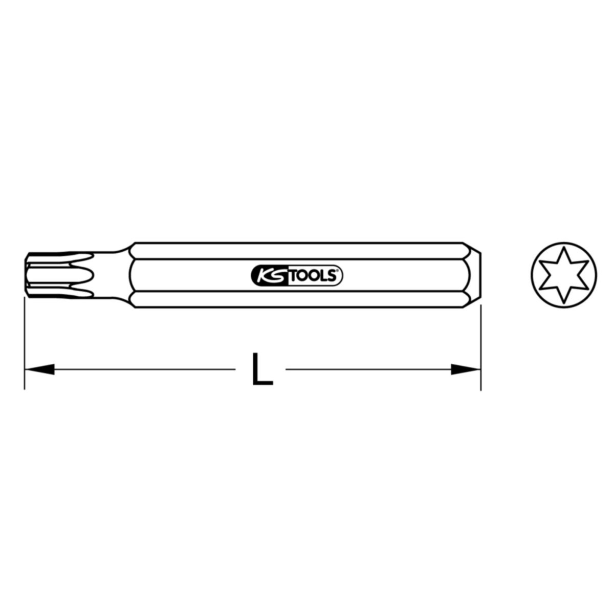 TECHZEI_975_20XX_10-70__SALL_AQU_V1