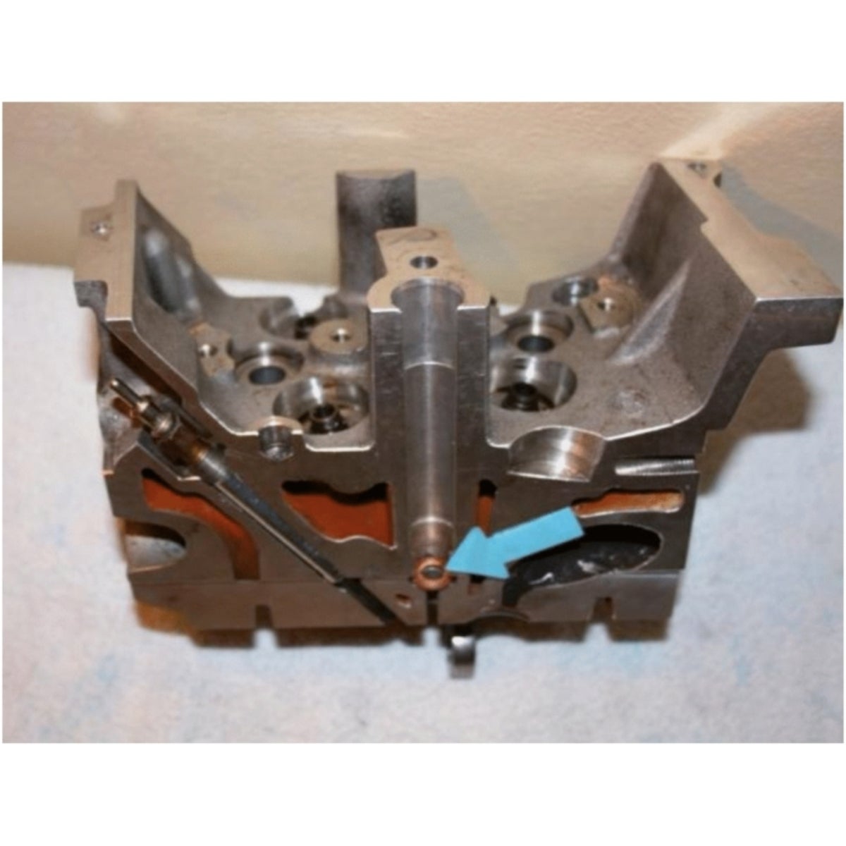 FOT_ANW_ALG_AUTO_152_1170_AW9_SALL_AING_V1