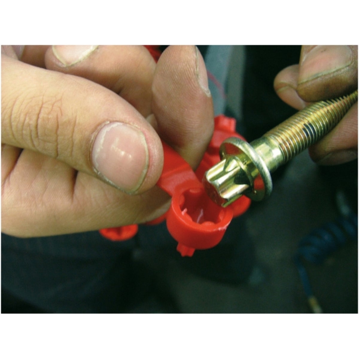 FOT_ANW_ALG_WZAL_300_0610_AW1_SALL_AING_V1