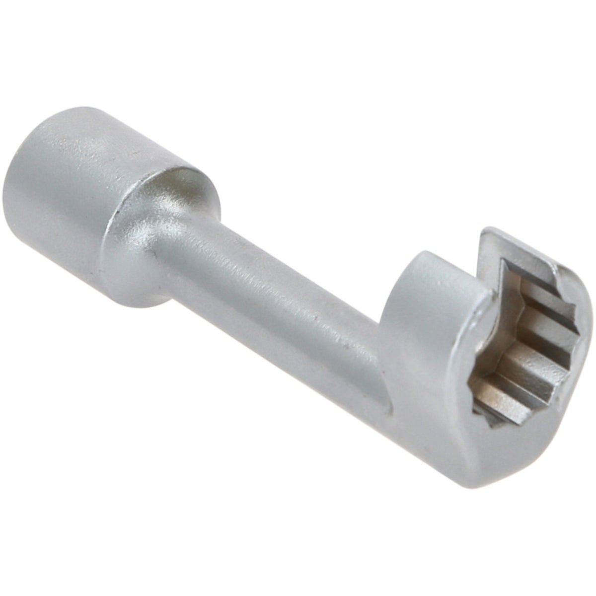 FOT_PRO_ALG_913_1214_SALL_AING_V1