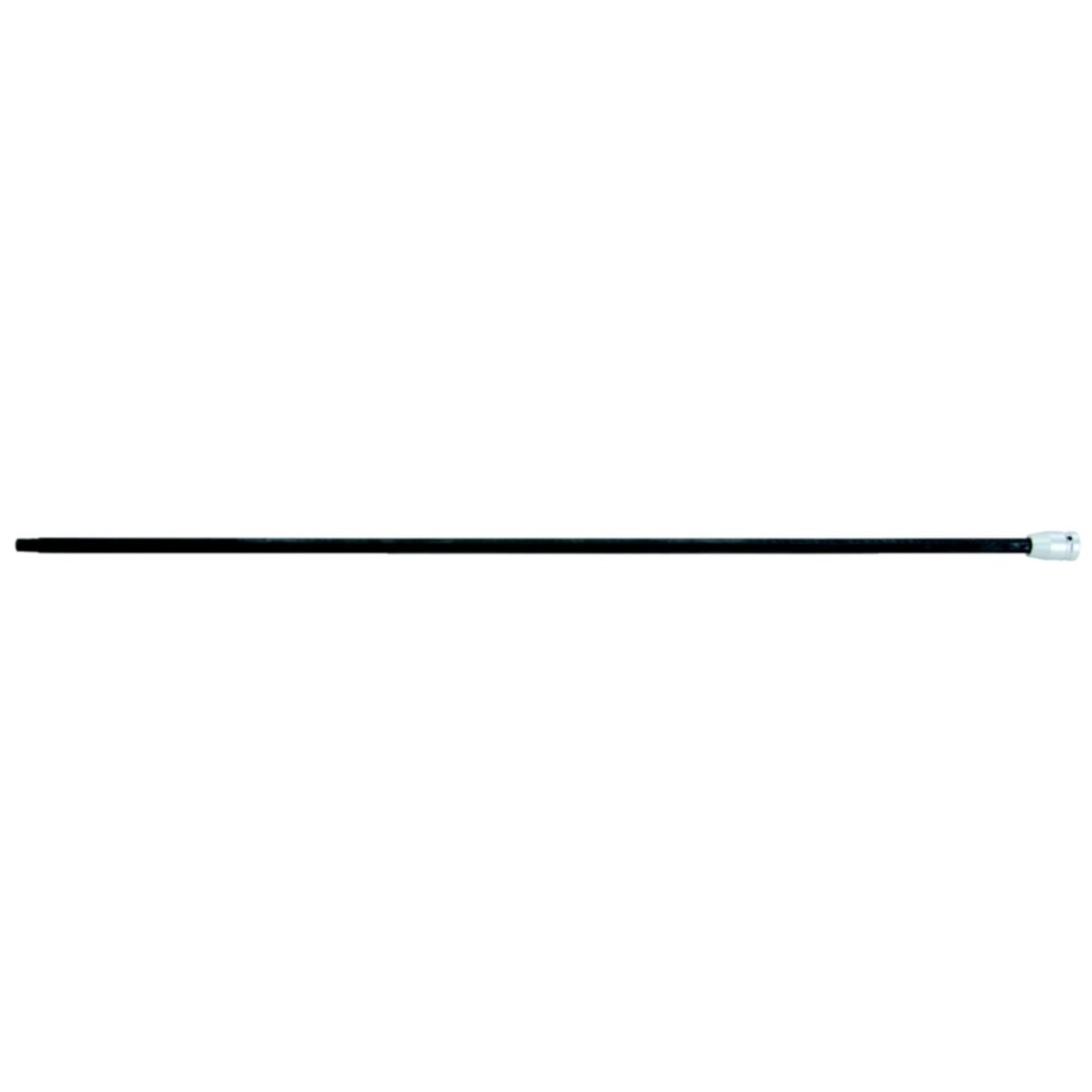 FOT_PRO_ALG_AUTO_150_1725_SALL_AING_V1