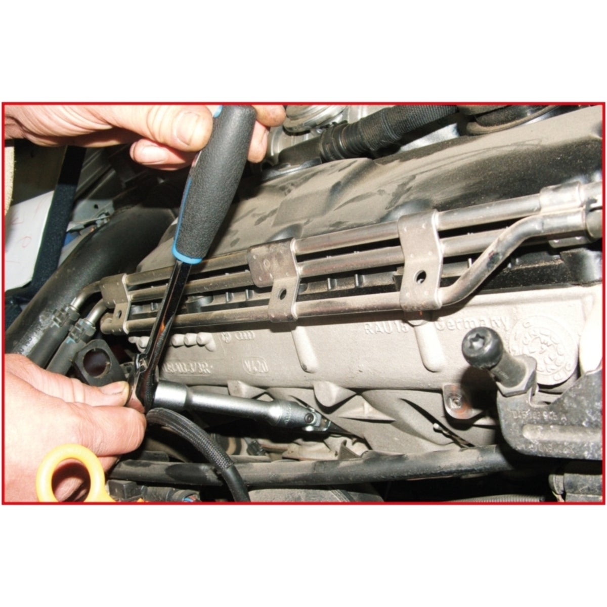 FOT_ANW_ALG_AUTO_500_7320_AW2_SALL_AING_V1