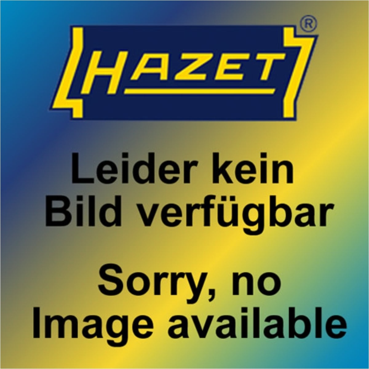 hazet_kein_Bild54feb7f61858c567937dd8ea42