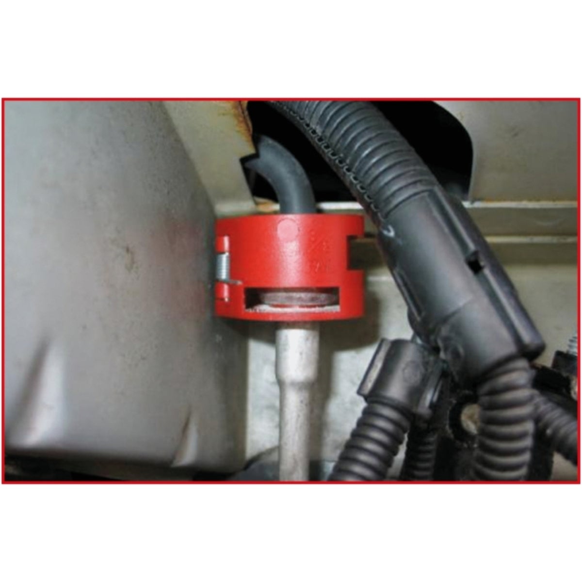 FOT_ANW_ALG_AUTO_115_1260_AW1_SALL_AING_V1