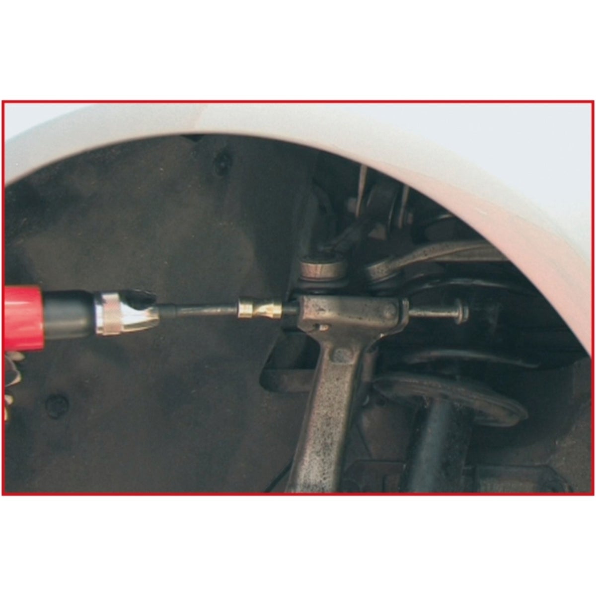 FOT_ANW_ALG_AUTO_700_5635_AW4_SALL_AING_V1