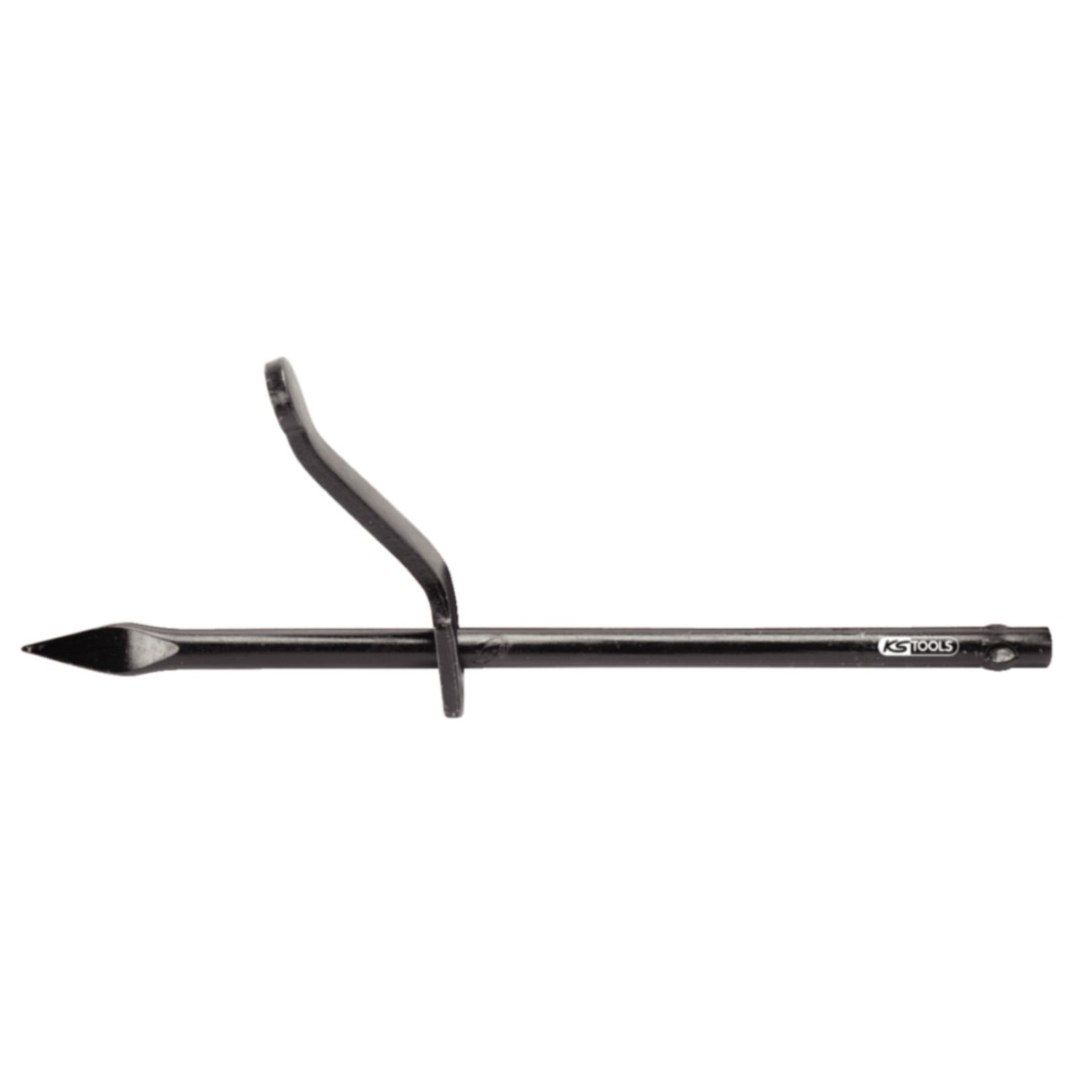 FOT_PRO_ALG_WZAL_156_0560_SALL_AING_V1