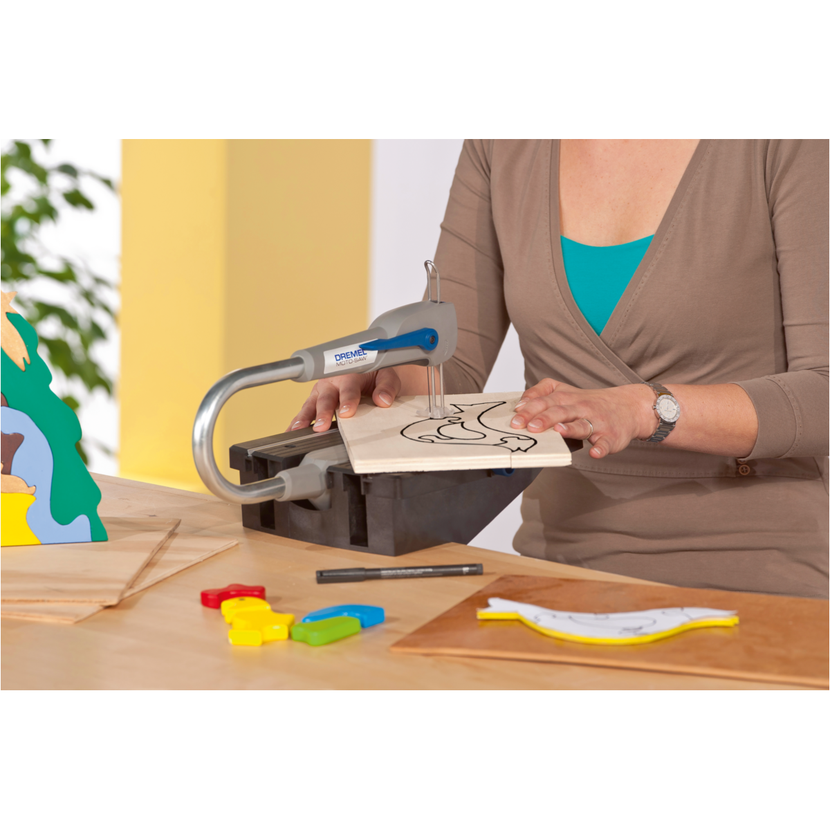 IMG-RD-8116-93