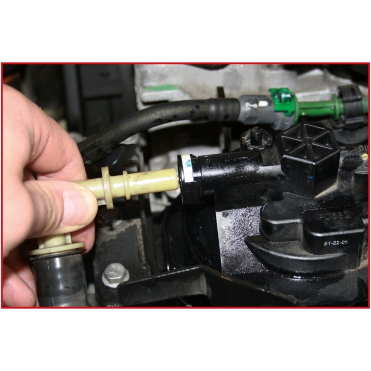 FOT_ANW_ALG_AUTO_115_1099_AW2_SALL_AING_V1