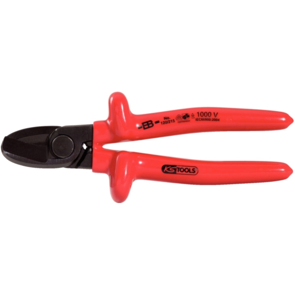 FOT_PRO_ALG_VDE_117_1259_SALL_AING_V1