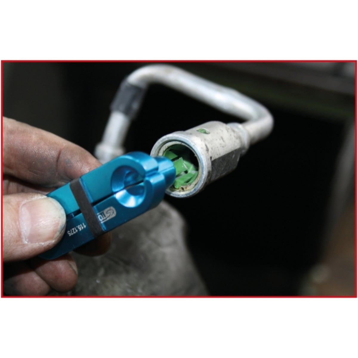 FOT_ANW_ALG_AUTO_115_1260_AW2_SALL_AING_V1