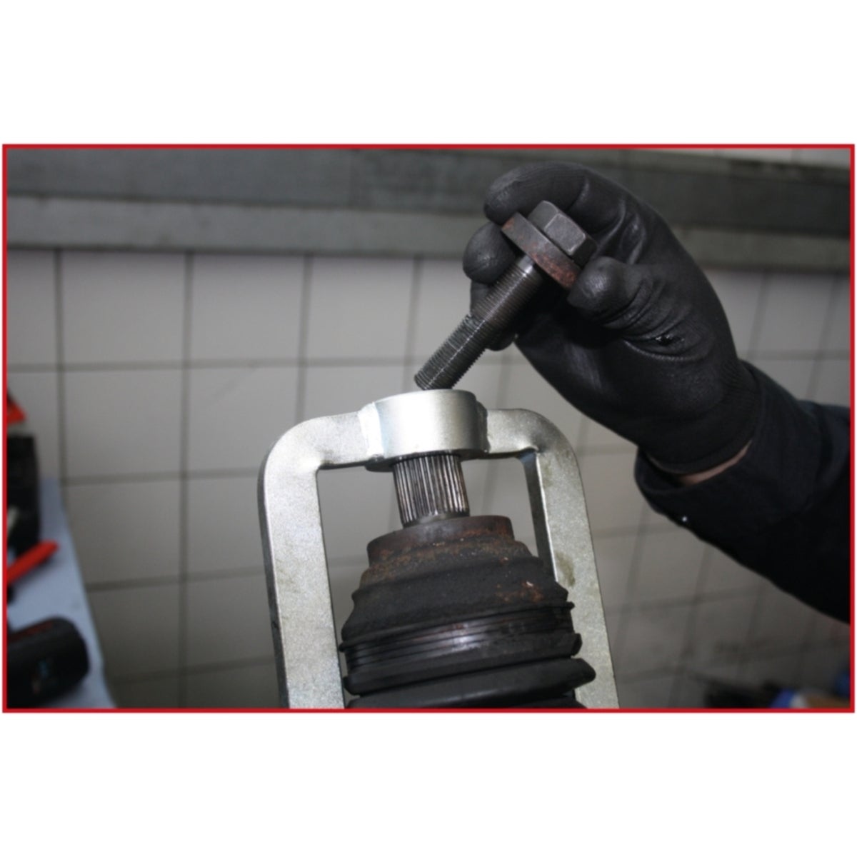 FOT_ANW_ALG_AUTO_150_1850_AW13_SALL_AING_V1
