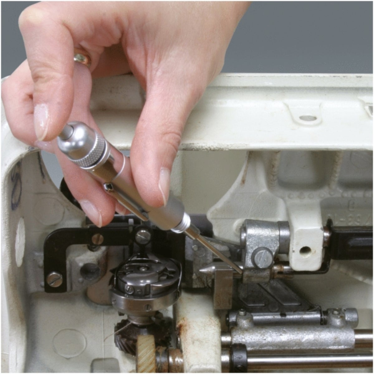 FOT_ANW_ALG_WZAL_550_1035_AW3_SALL_AING_V1