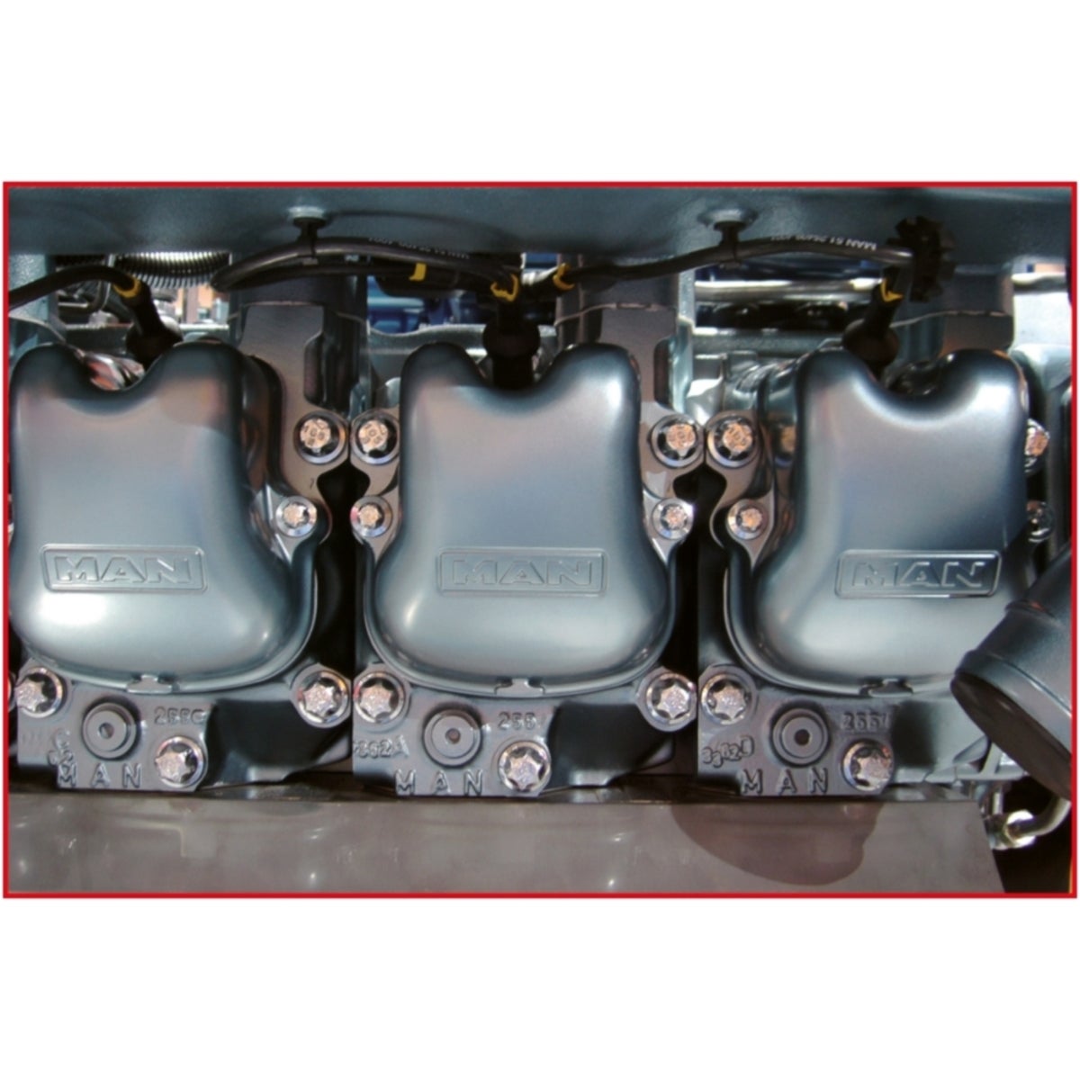 FOT_ANW_ALG_AUTO_450_0420_AW2_SALL_AING_V1