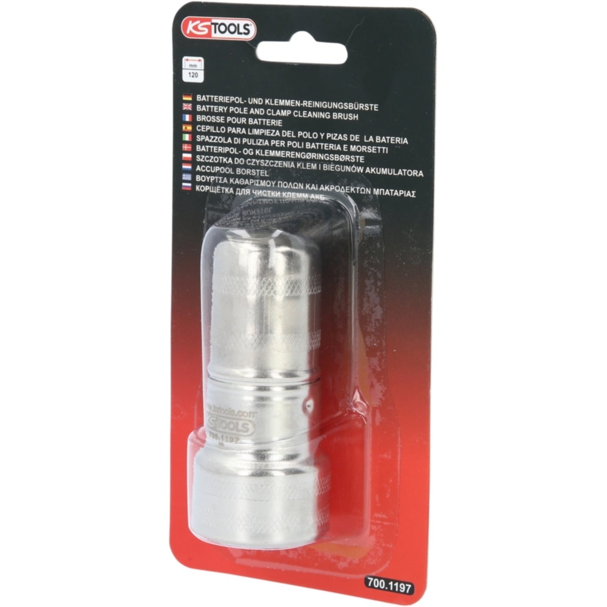 FOT_PRO_VAR_700_1197_4_SALL_AING_V1