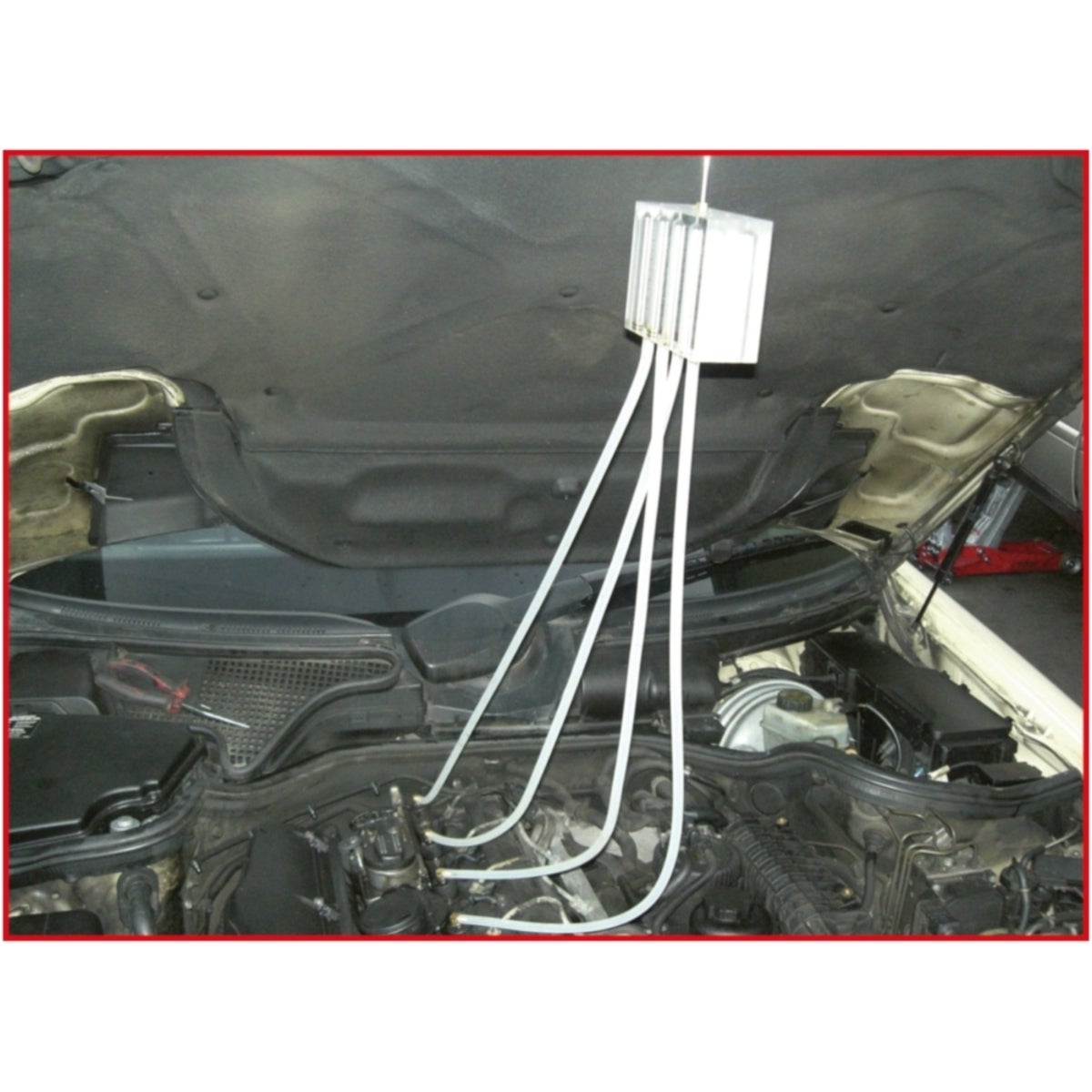 FOT_ANW_ALG_AUTO_150_1580_AW1_SALL_AING_V1